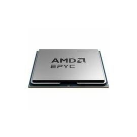 AMD (100000001135) Microprocessors