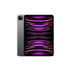 IPAD PRO M2 11 WI-FI+5G 512 SG