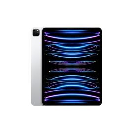 IPAD PRO M2 11 WIFI 512GB SILVER