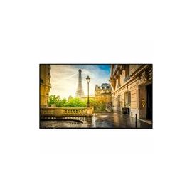PR43D-4H 43IN COMMERC DISPLAY 3840X2160 UHD 4K 700 NITS 24/7