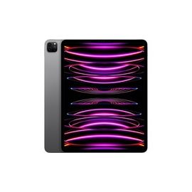 IPAD PRO M2 11 WIFI 1TB SPACE GRAY
