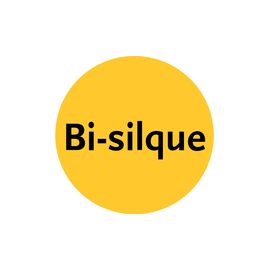 BI SILQUE MEMO CORK BOARD RED 600X900MM