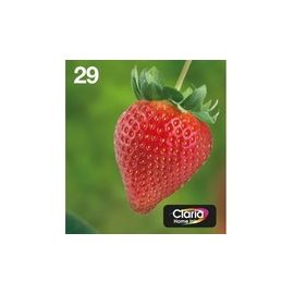Ink/Multipack 4-colours 29 EasyMail