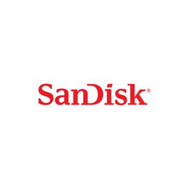 SANDISK ULTRA EXTREME GO 3.2 FLASH DRIVE 128GB