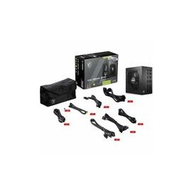 MSI (MAGA850GLPCIE5) Power Supplies