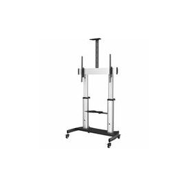 StarTech.com (STNDMTV100) Stands & Cabinets