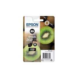 Singlepack Photo Black 202XL