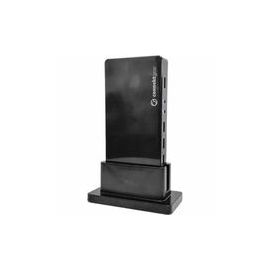 DESKTOP TYPE C DUAL SCREEN DOCKING STATION WITH 100W PD