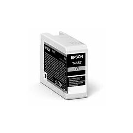 Singlepack Gray T46S7 UltraChrome Pro 10 ink 25ml
