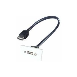 0.35M AV SNAP-IN USB2-A 25X50 WHITE