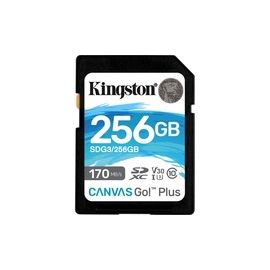 256GB SDXC CANVAS GO PLUS 170R C10 UHS-I U3 V30