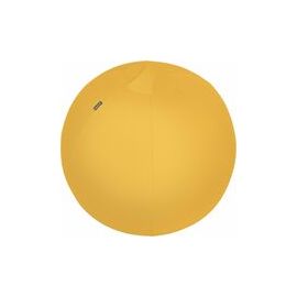 Leitz (52790019) Strength/Sports Training Equipment