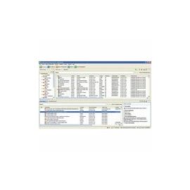 APC by Schneider Electric (AP95100) Software Licensing