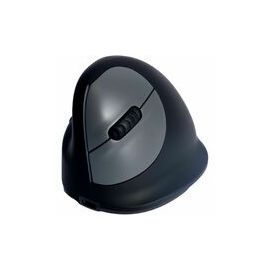 R-Go (RGOHEWLL) Pointing Devices