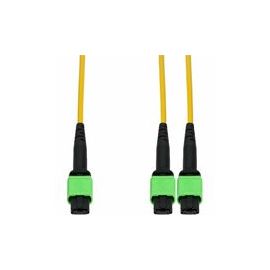 MELLANOX COMPATIBLE 3M ANGLED MPO (FEMALE) TO 2X ANGLED MPO (F