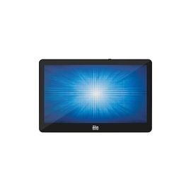 1302L 13.3IN LCD HD 1920X1080 USB-C HDMI/VGA NO STAND WHITE IN