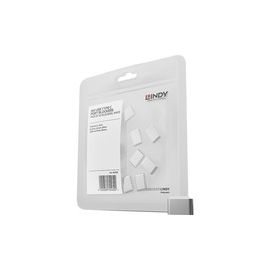 LINDY USB C Port Schloss weiss 10 St