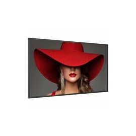 50BDL4650D 50 INCH D-Line Signage Display