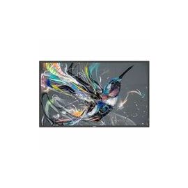 Philips (43BDL3650Q00) Digital Signage Systems