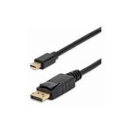 Mini DisplayPort to DisplayPort Adapter
