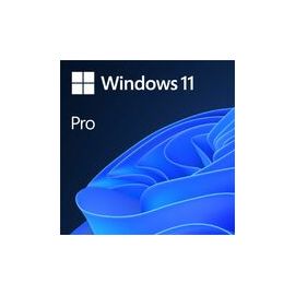 WINDOWS 11 PRO 64-BIT ESD DOWNLOAD- FOR WINDOWS DEVICES - ALL LANGUAGES - PRODUCT KEY ISSUED BY EMAIL