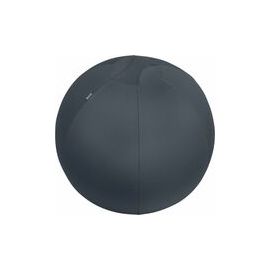 Leitz (52790089) Strength/Sports Training Equipment