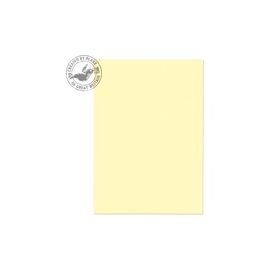 Premium Business (95677) Printing Media