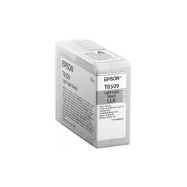 Epson (C13T850900) Toner & Cartridge