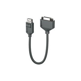 20CM ELEMENTS DISPLAYPORT TO DVI M/F ADAPTER