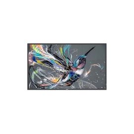 Philips (50BDL3511Q00) Digital Signage Systems