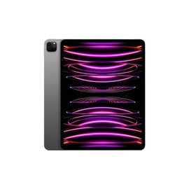 IPAD PRO M2 12.9 WIFI 1TB SPACE GRAY