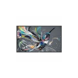 Philips (55BDL3511Q00) Digital Signage Systems