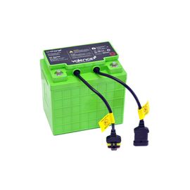 LIFE REPLACEMENT BATTERY FOR  STYLEVIEW CARTS