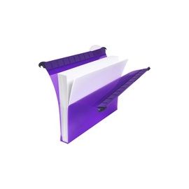 CRYSTAL FC SECUR SUSP FILE 30MM AST PK10
