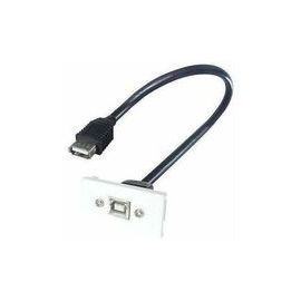 0.2M AV SNAP-IN USB2-B 25X50 WHITE