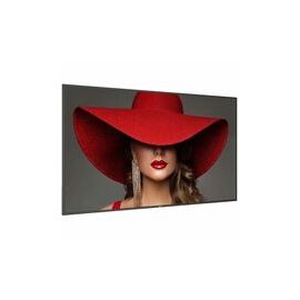 75BDL4650D 75 INCH D-Line Signage Display
