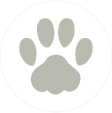 Animal Icon
